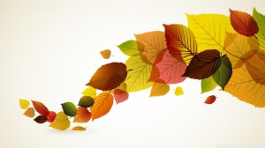autumn-leaves-wallpaper-background